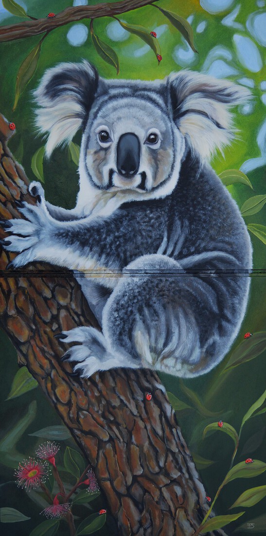 Koala with friends