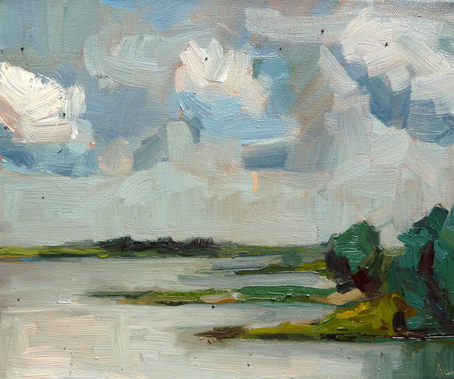 Wilgen langs de Waal - 1