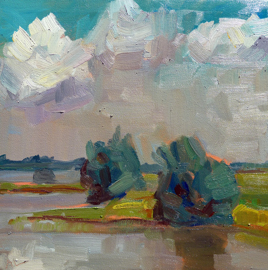 Wilgen langs de Waal - 2