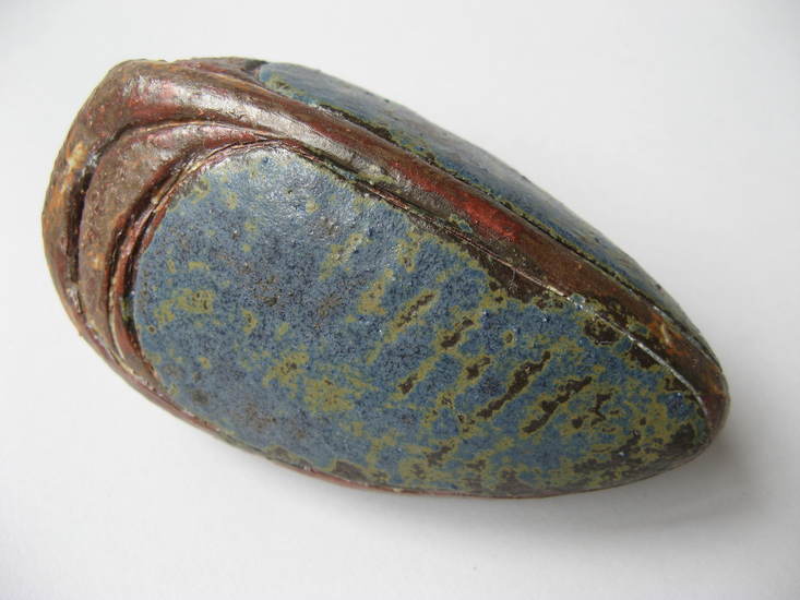 Kleine blauwe keverpop