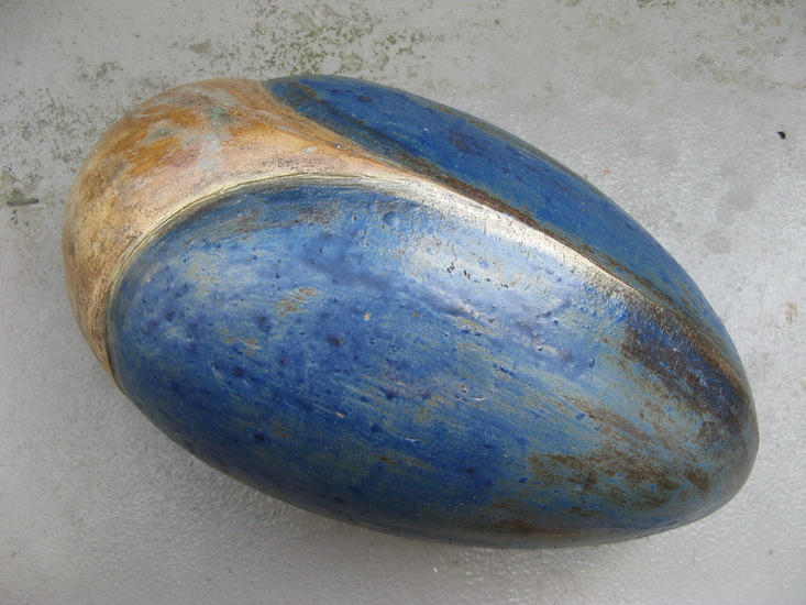 Blue water beetle chrysalide