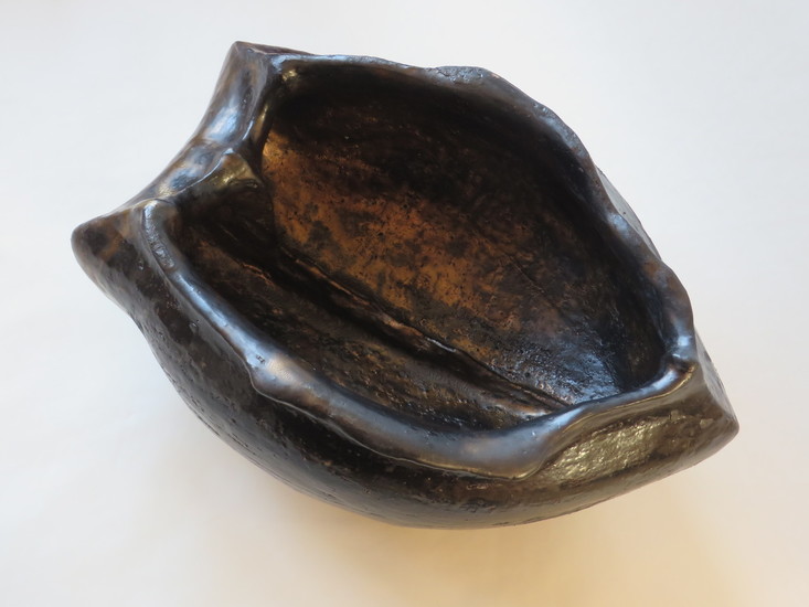 Open beetle shield I