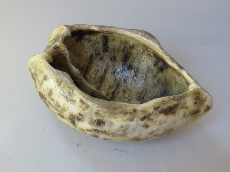 Open beetle shield II