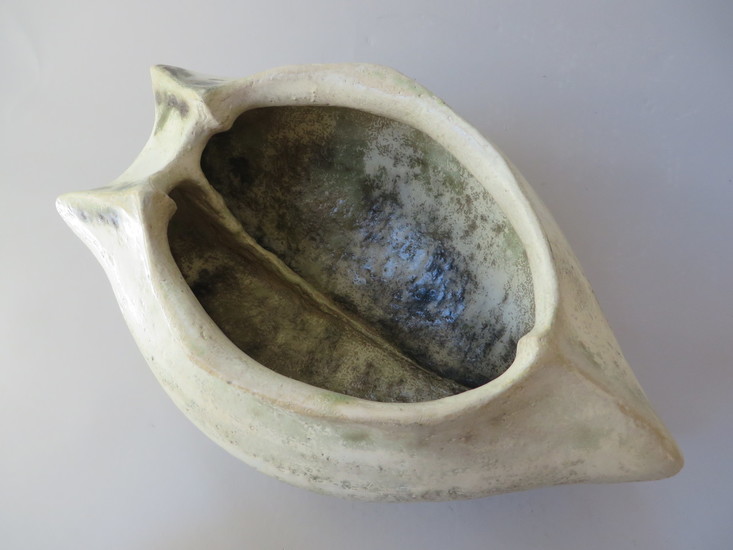 Open beetle shield III