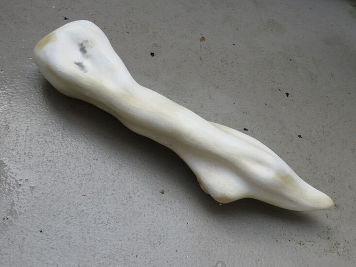 Pointed bone