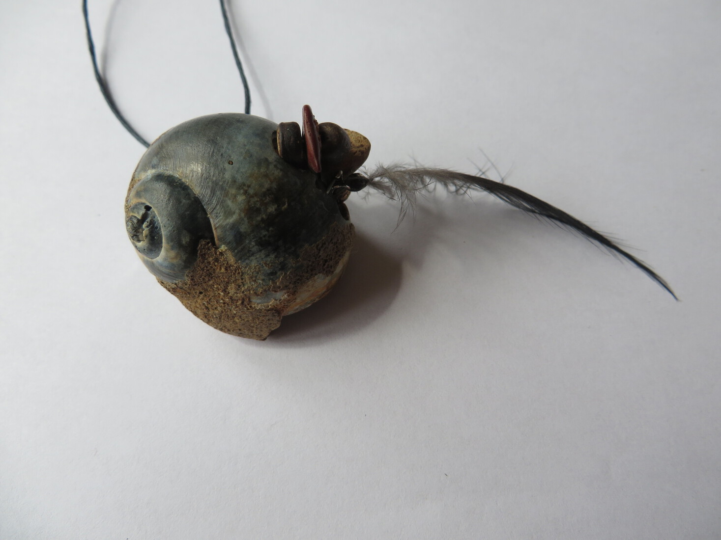 Shell/feather pendant I