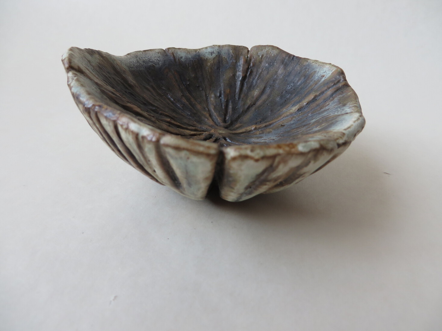 Little mushroom head