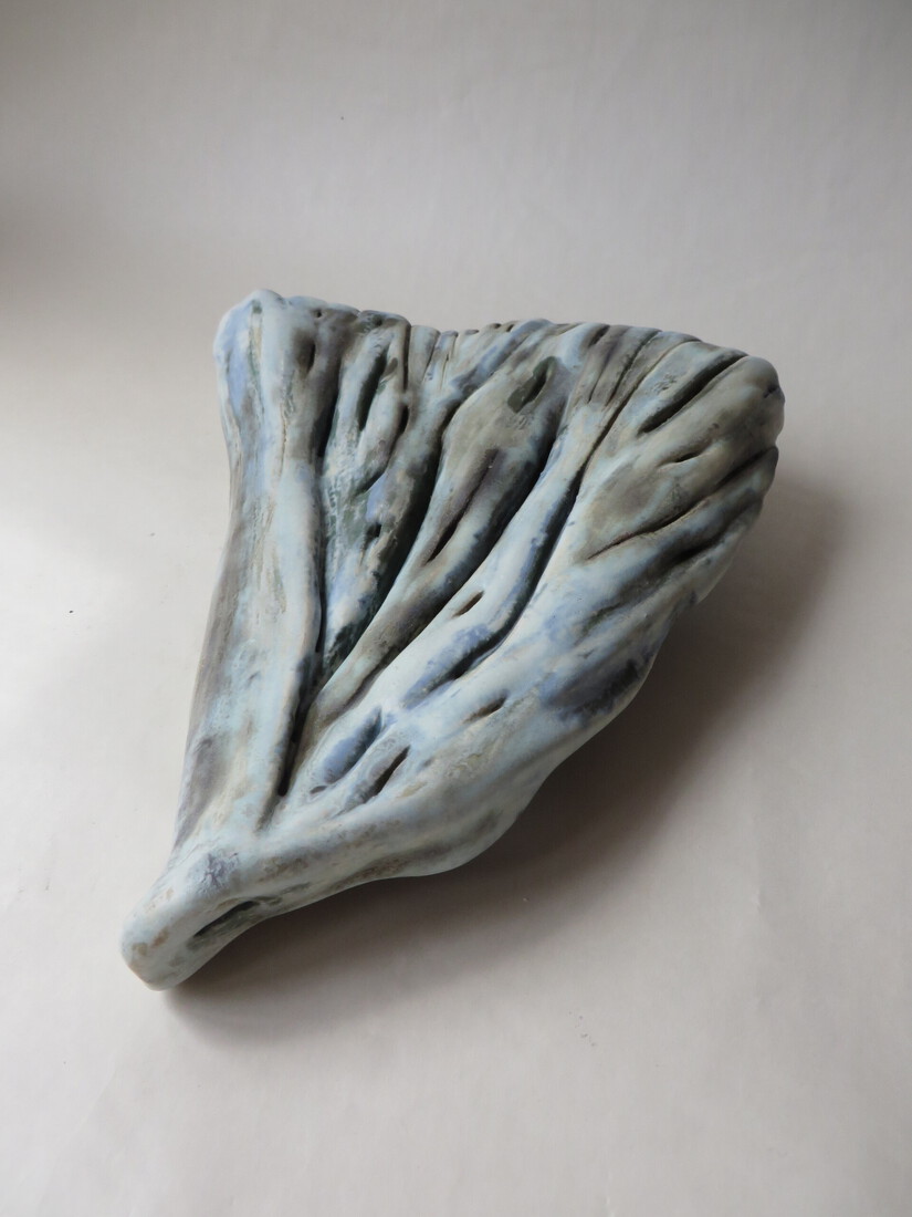 sea weed 'spread out'