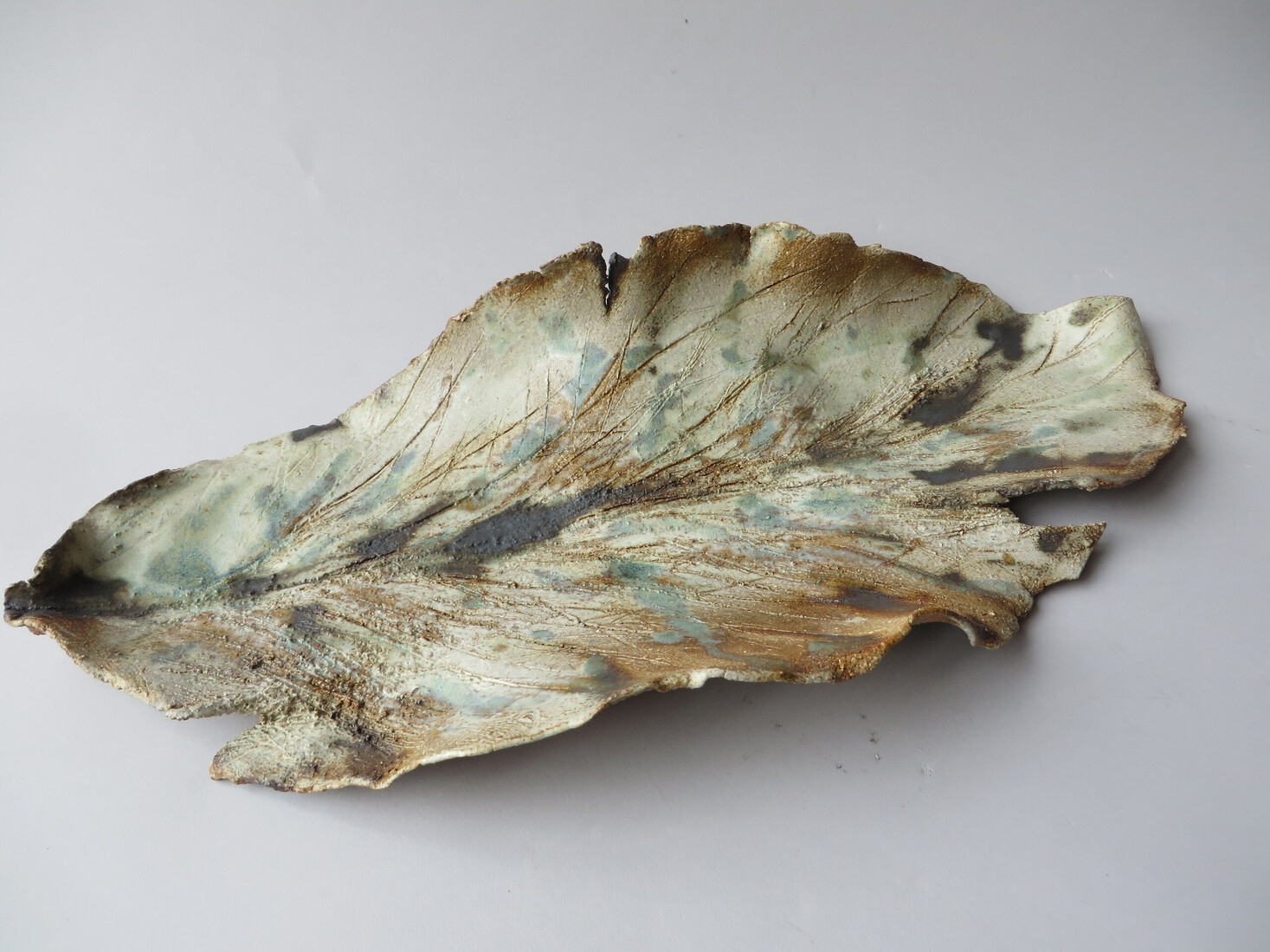 Leaf on the forestfloor