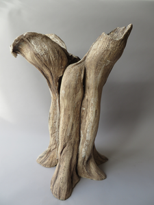 Bomen zijn voor mij wijze, eindeloos fascinerende wezens. Mijn contact met bomen gaat diep. Via mijn boombeelden probeer ik daar iets van weer te geven.