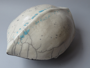 Schilden gebaseerd op zeeschildpad schilden.