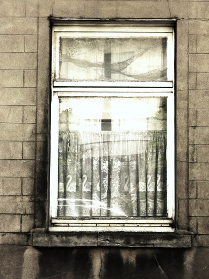 windows (6)