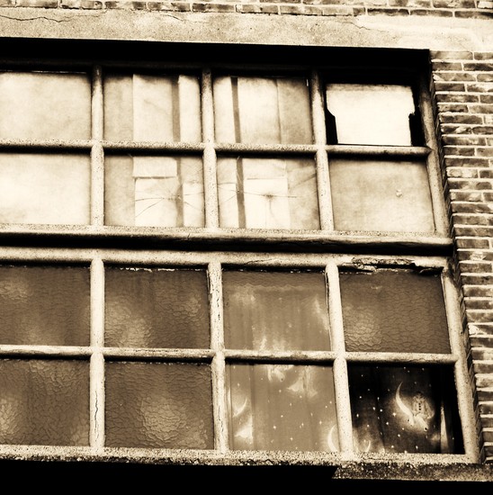 windows (7)