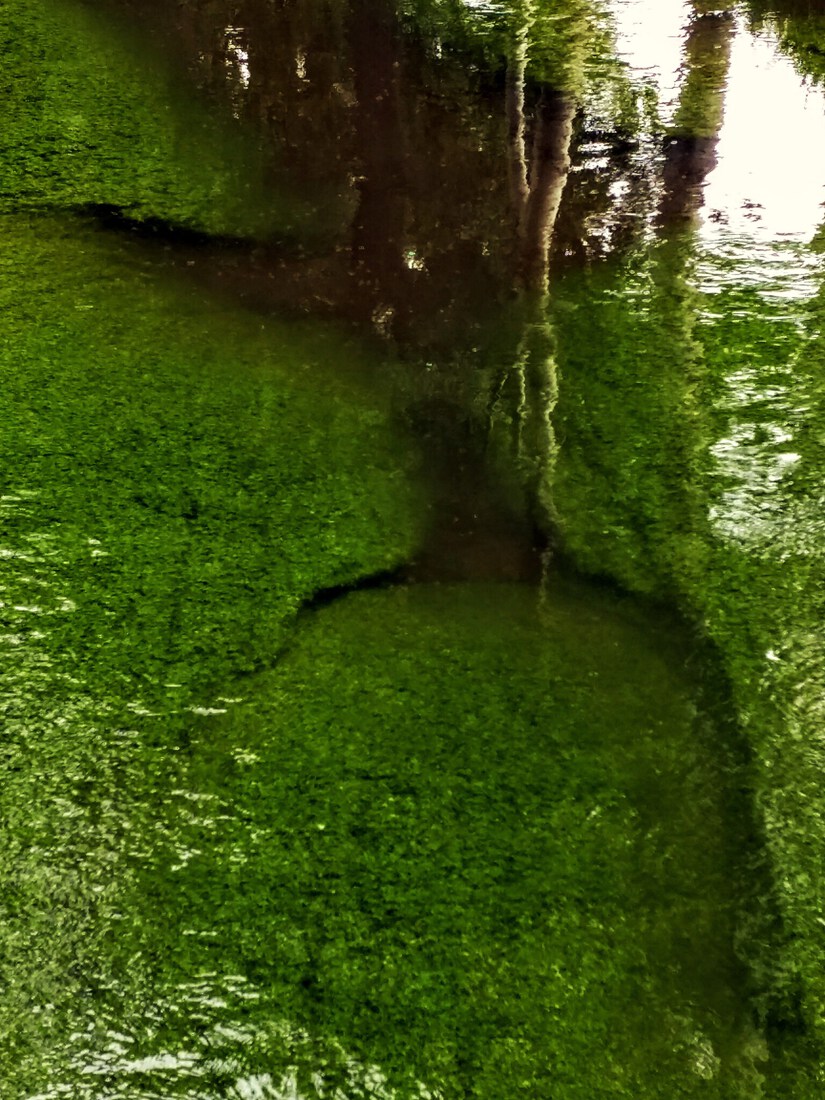 green waters
