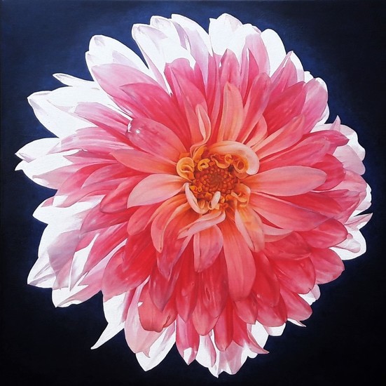 Dahlia in de schaduw