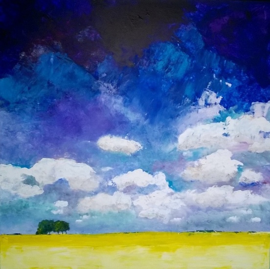 stoere lucht boven koolzaadveld