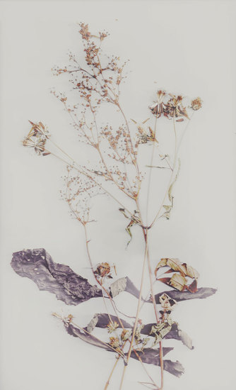 Composition with weeds 2