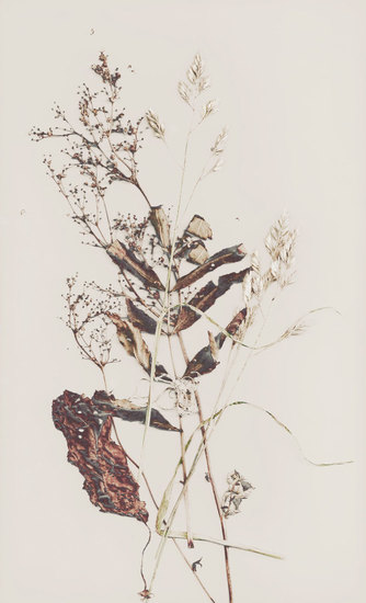 Composition with weeds 3