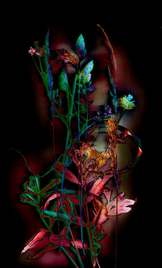 Composition with weeds 5