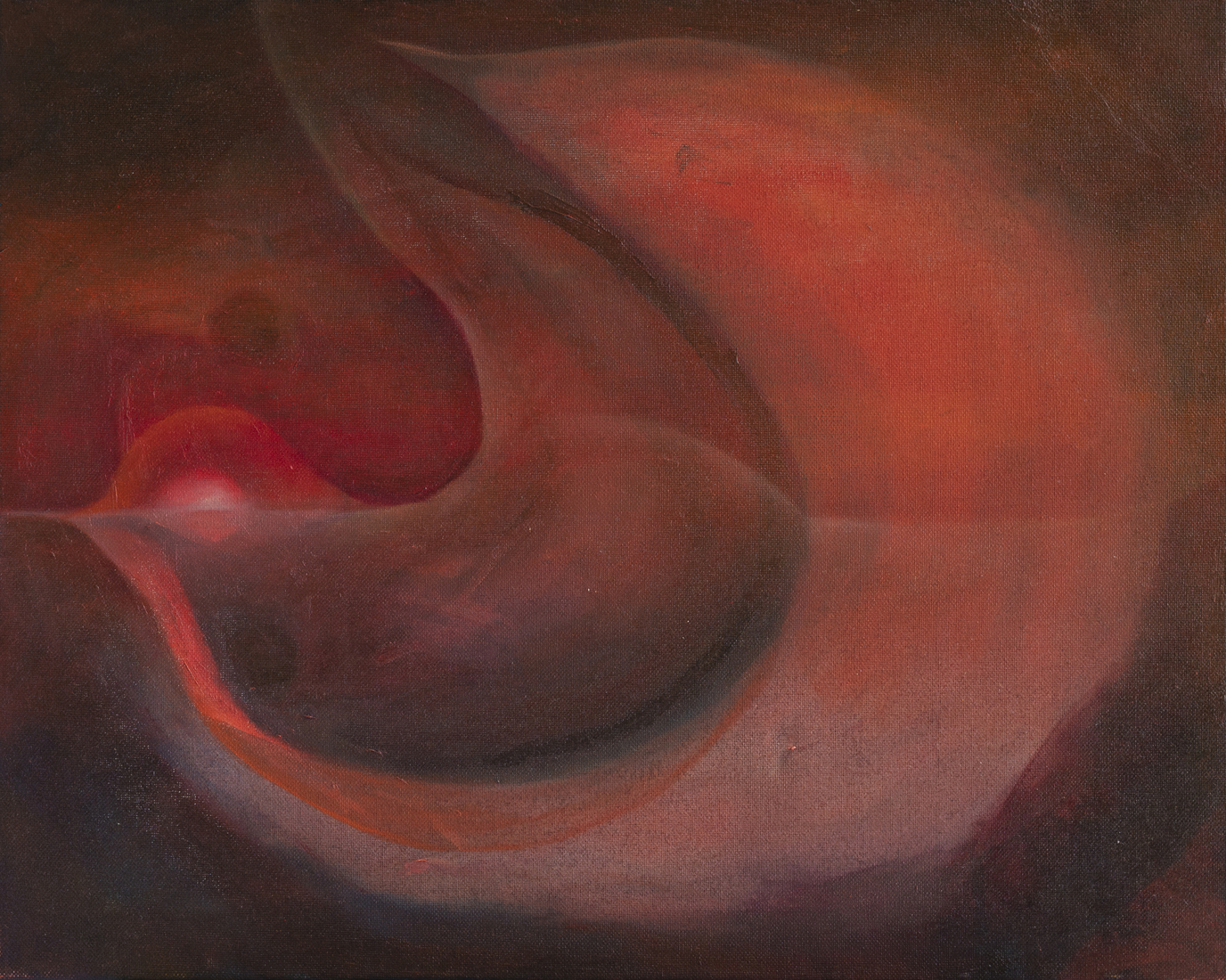 Infrarode vredesduif