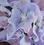 Flowers their variety in colors inspires in all seasons.