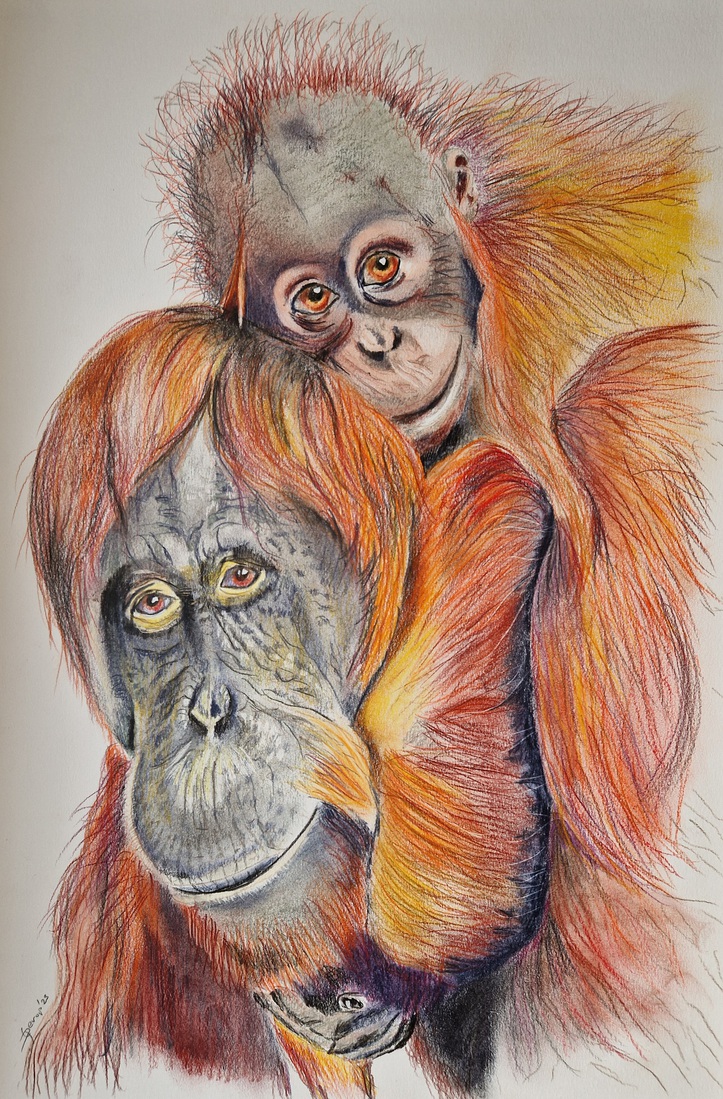 Orang oetan vrouwtje met jong