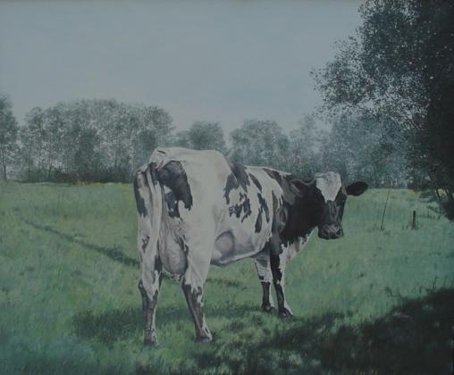 zwartbont