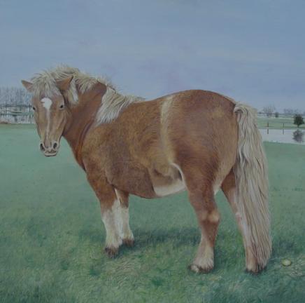 my little pony