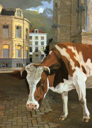 koe in stad