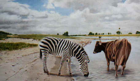 zebra en koe aan IJssel