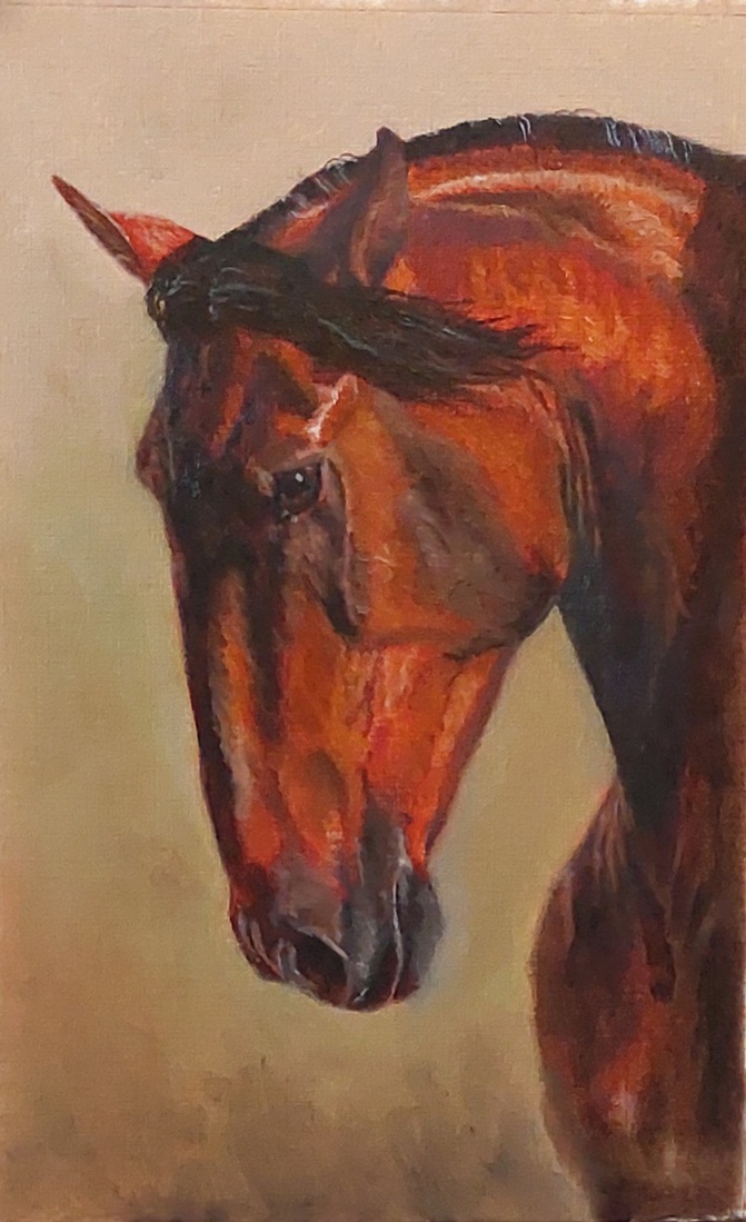 Lusitano