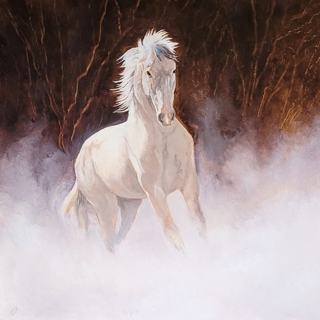 Mustang