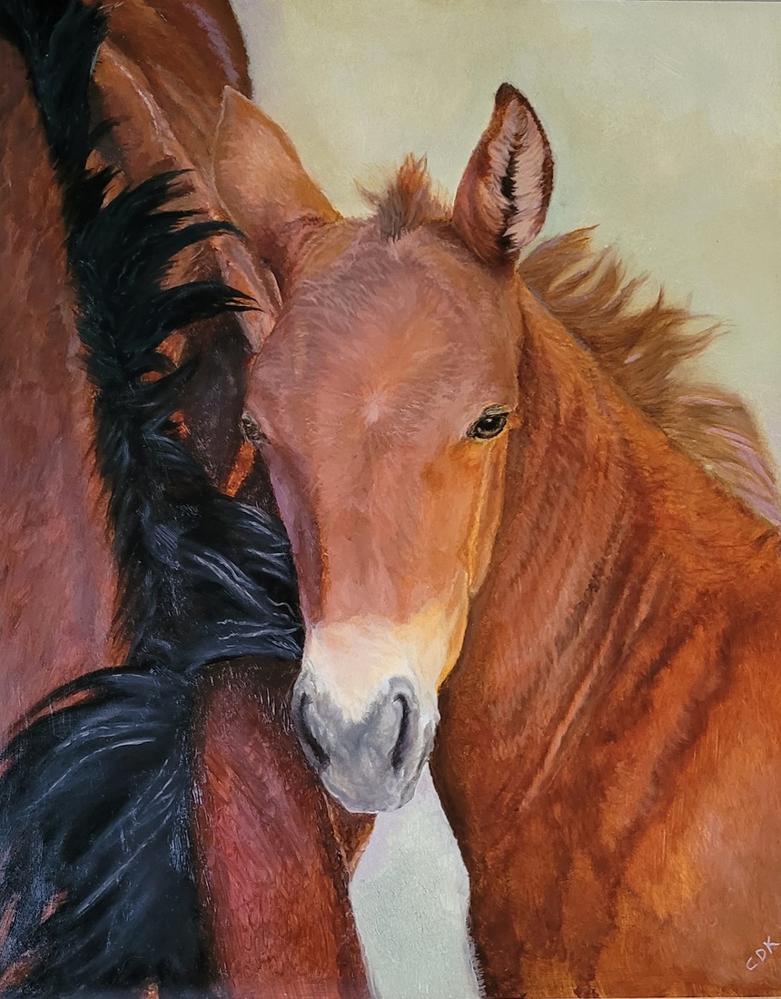 Wild foal