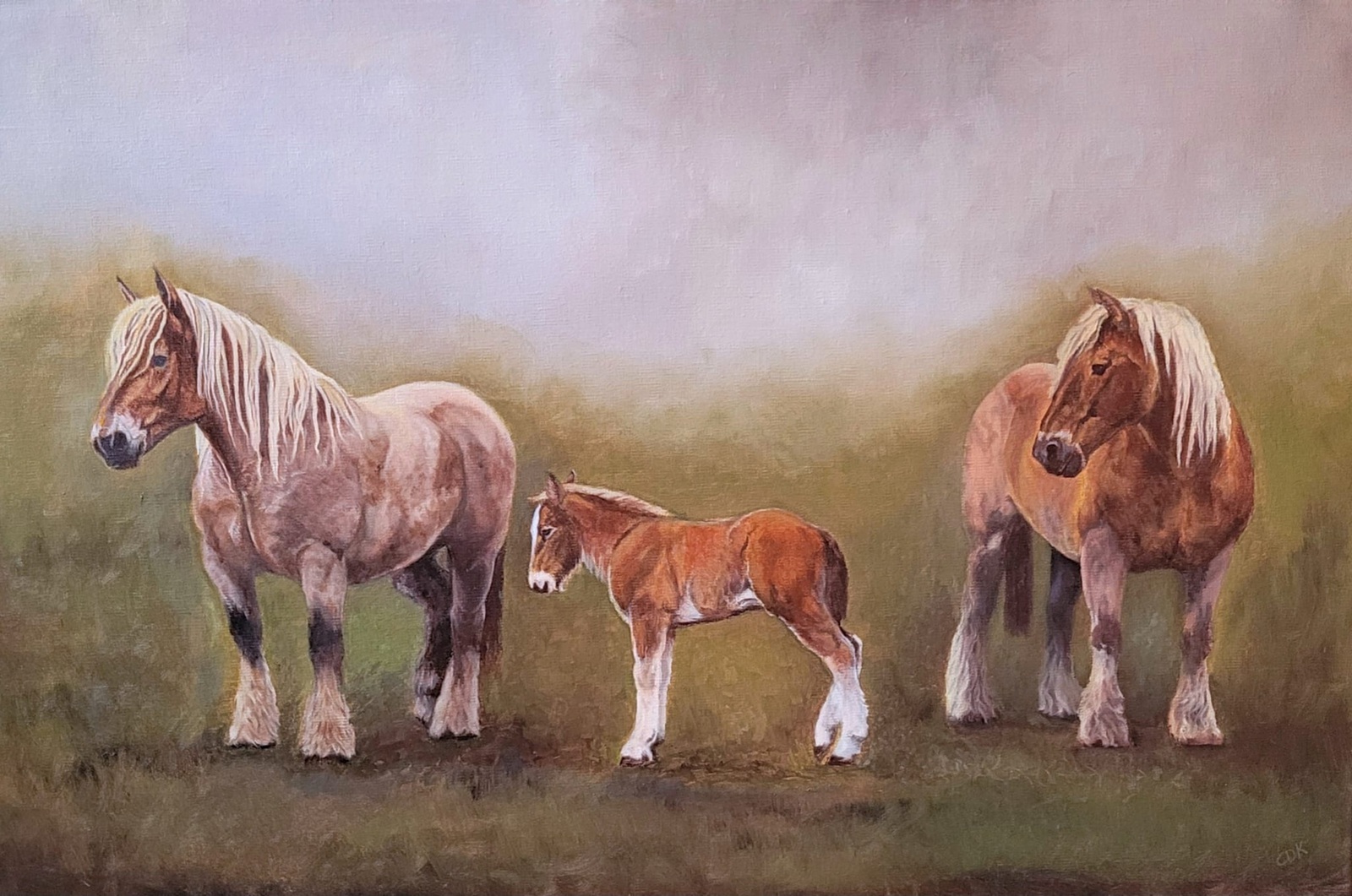 Belgische trekpaarden 