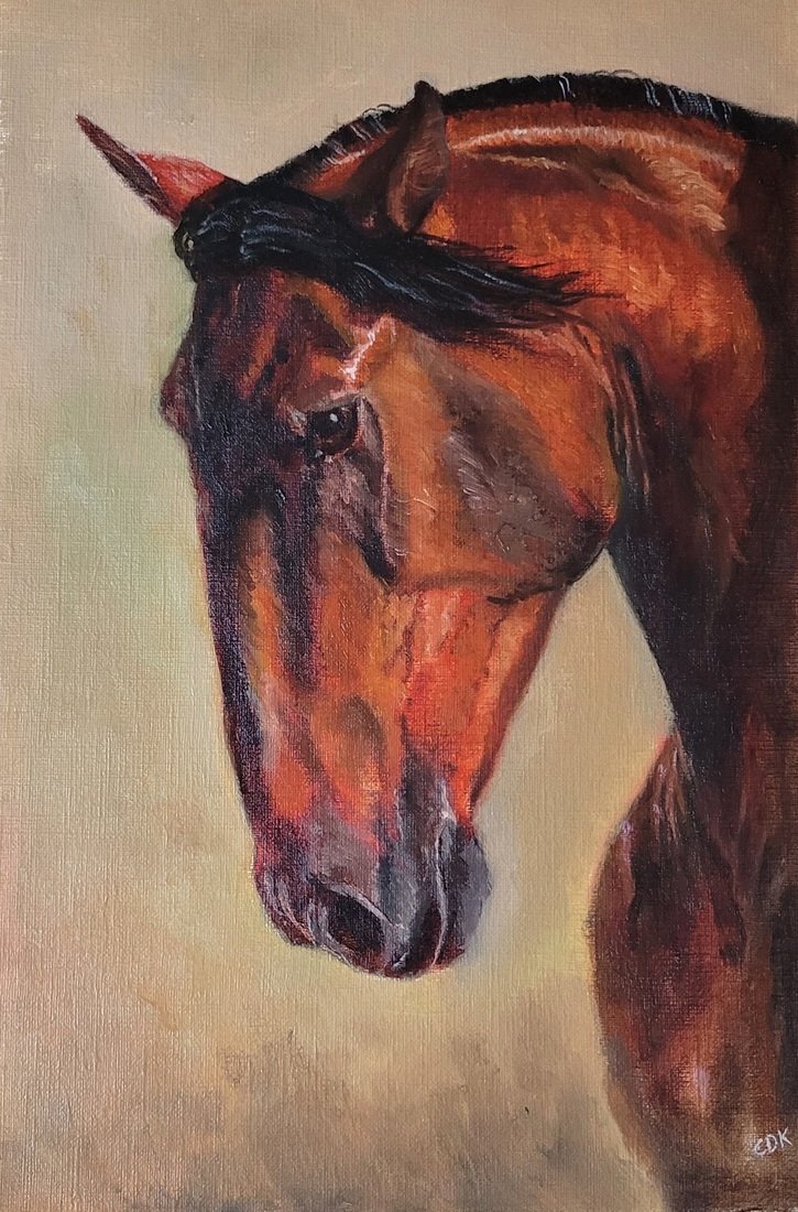 Lusitano
