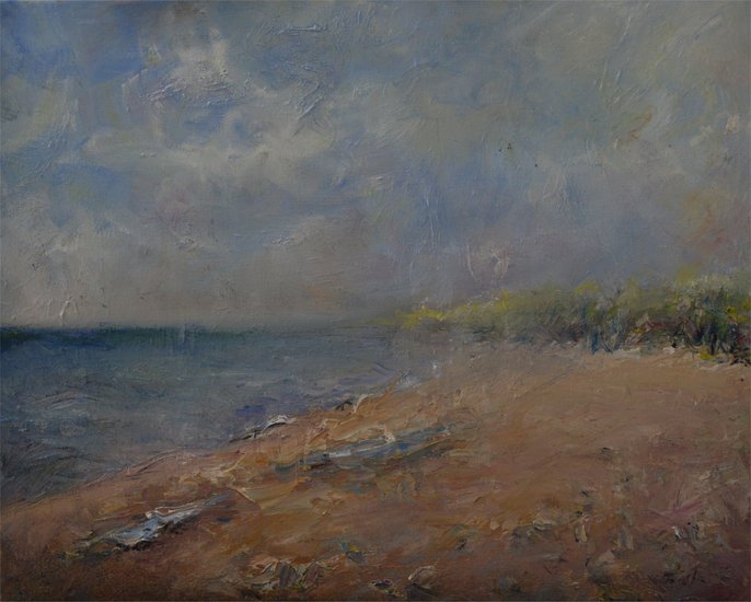 beach near noordwijk