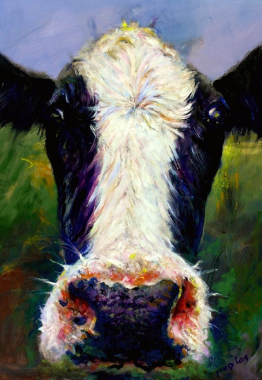 cow head in perspective