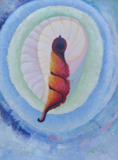 uit je schelp kruipen