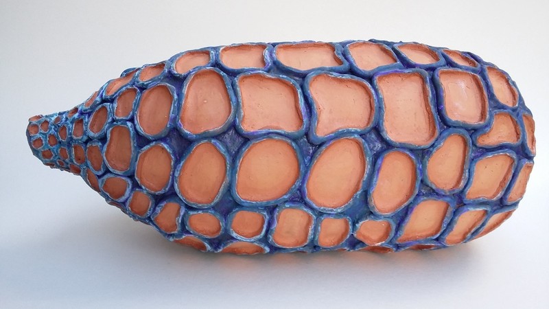 Zaadvorm: Drosera cistiflora