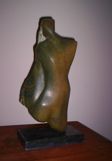 torso