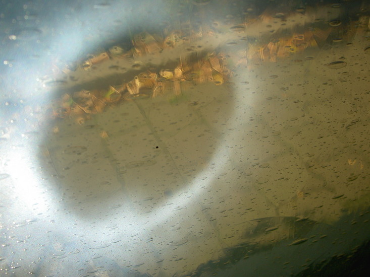 RUNNING ON THE PAVEMENT