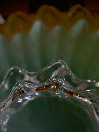 THE FLOWER IN THE BACK