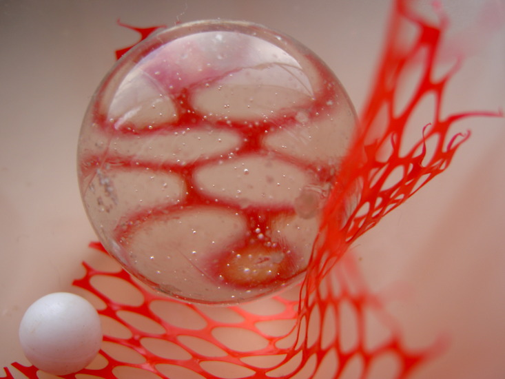 DAVID AGAINST GOLIATH