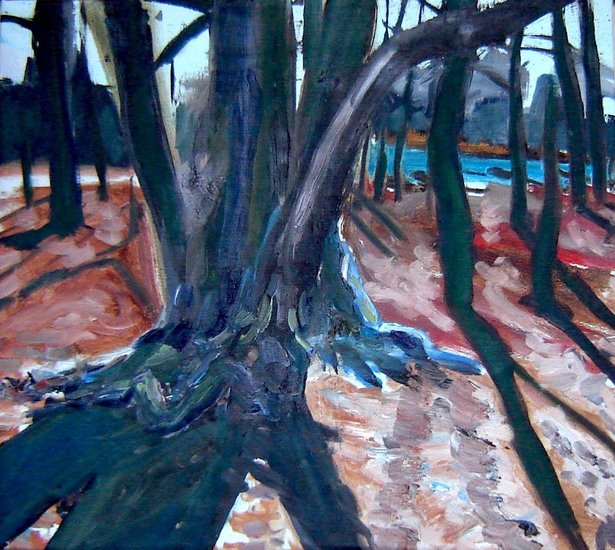 Nachtengalenpark