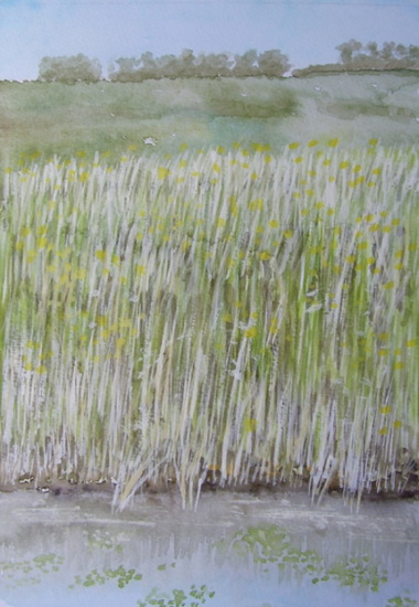 Nature always wears the colors of the spirit