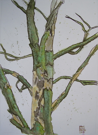 In loving memory of our dead tree