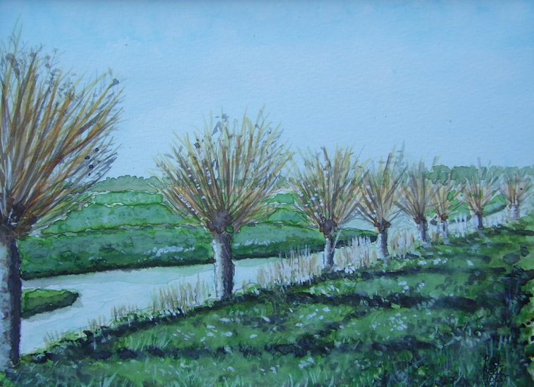 Art is the tree of life (Amsterdam)