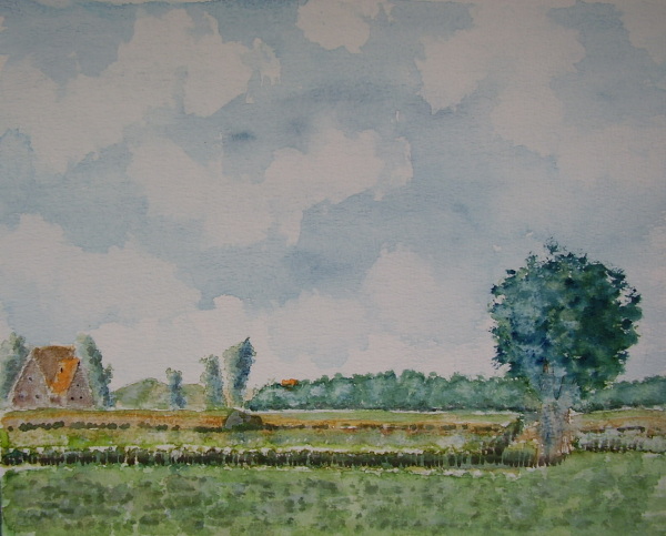 Island beauty (Texel)