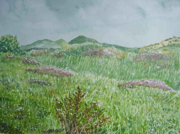 The goal of life is living in agreement with nature