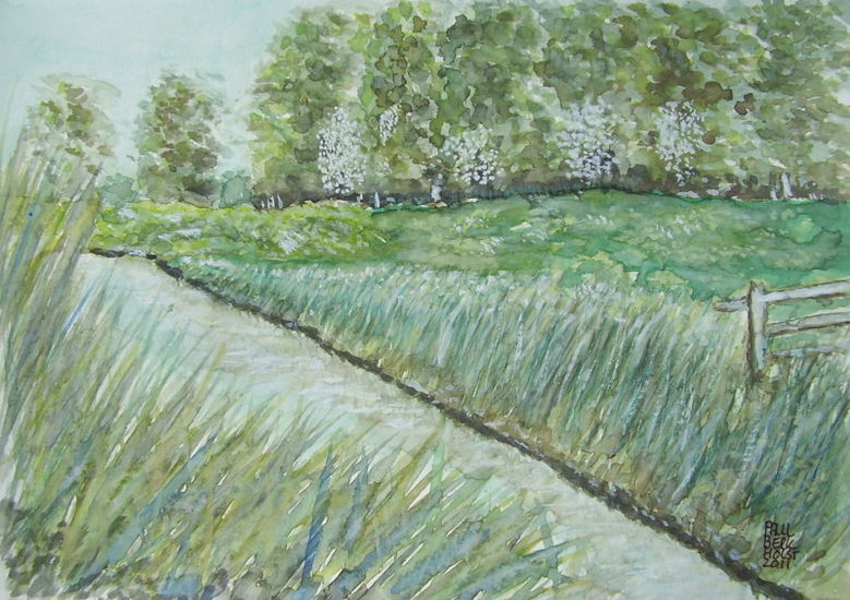 There Is No Life Without Water (Amsterdam)